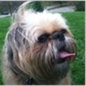 Meet your Posher, Eric